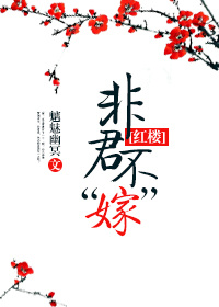 带着系统穿HP