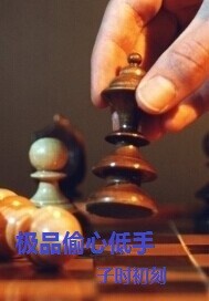 极品偷心低手
