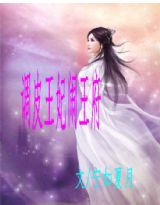 调皮王妃闹王府