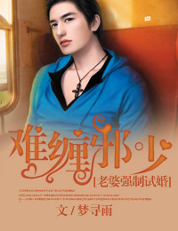 难缠邪少，老婆强制试婚